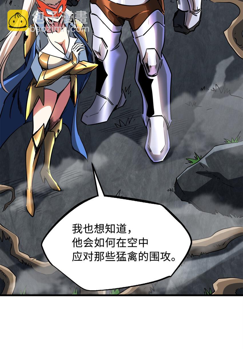 216 冲天隼王26