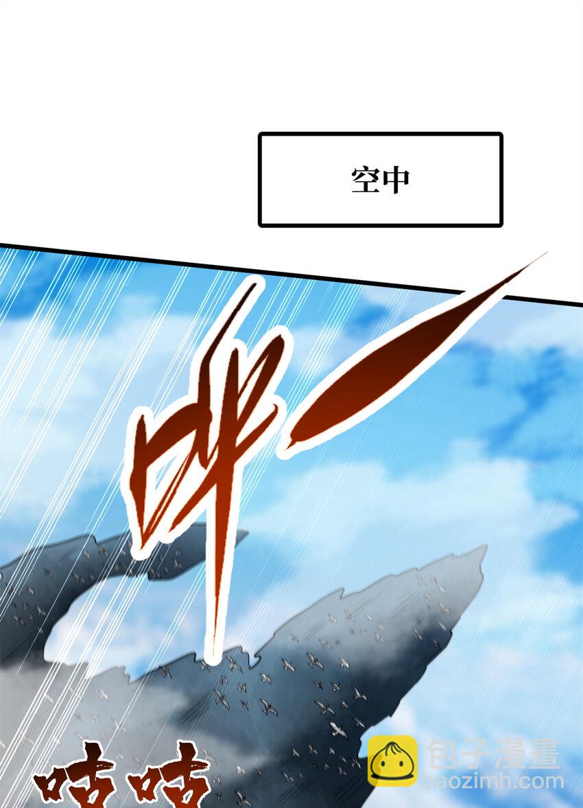 216 冲天隼王27