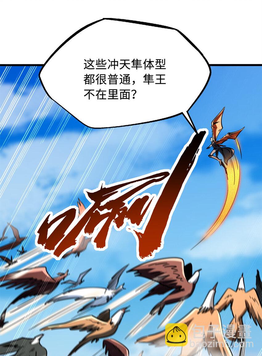 216 冲天隼王30