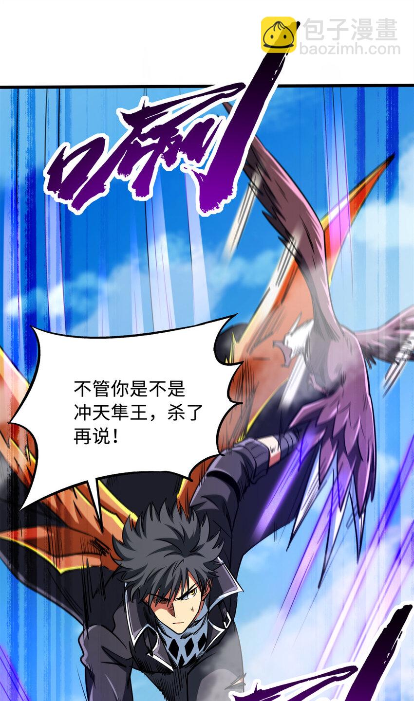 216 冲天隼王46