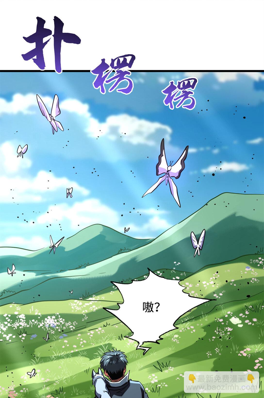 293 奇花11