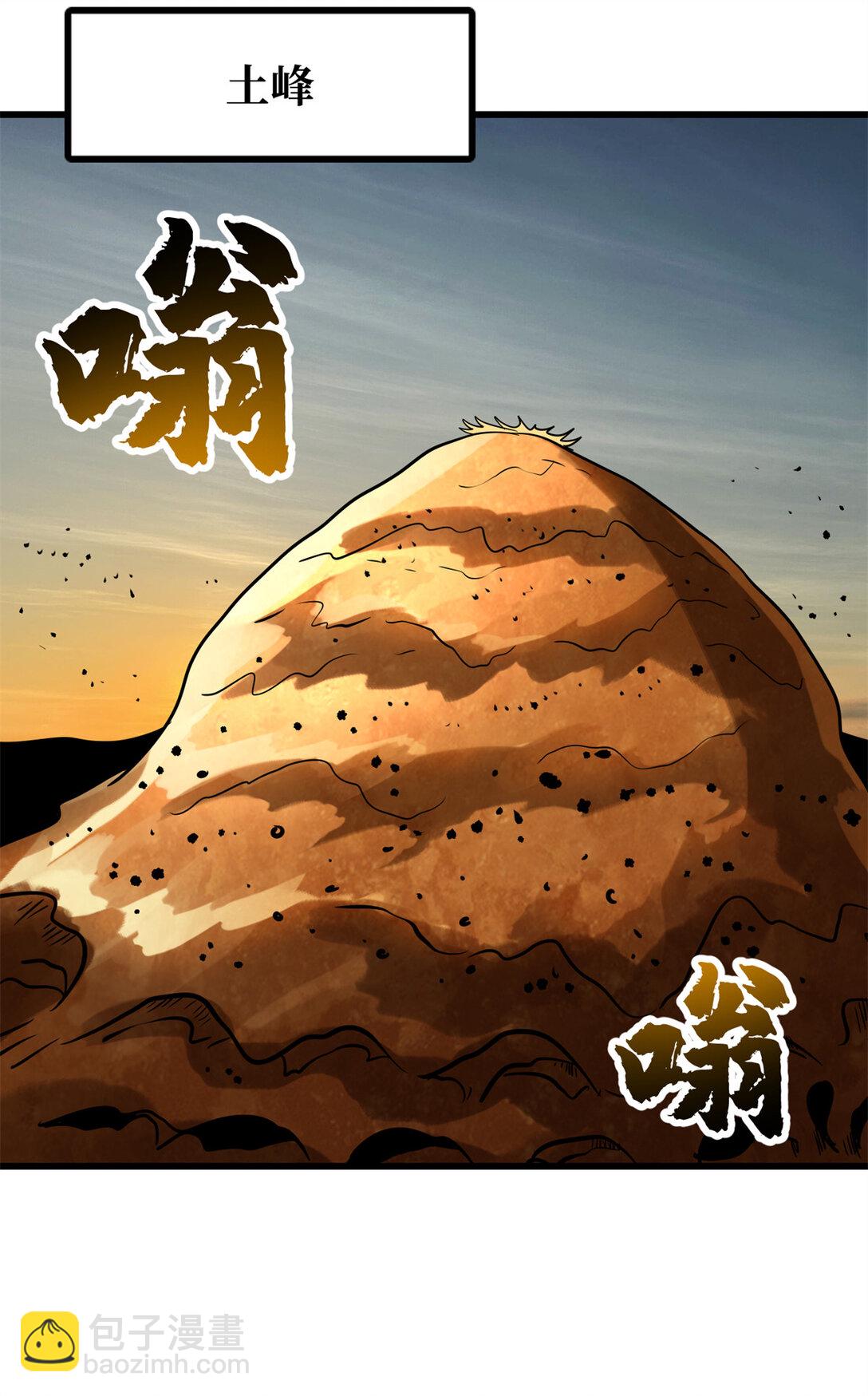 293 奇花26