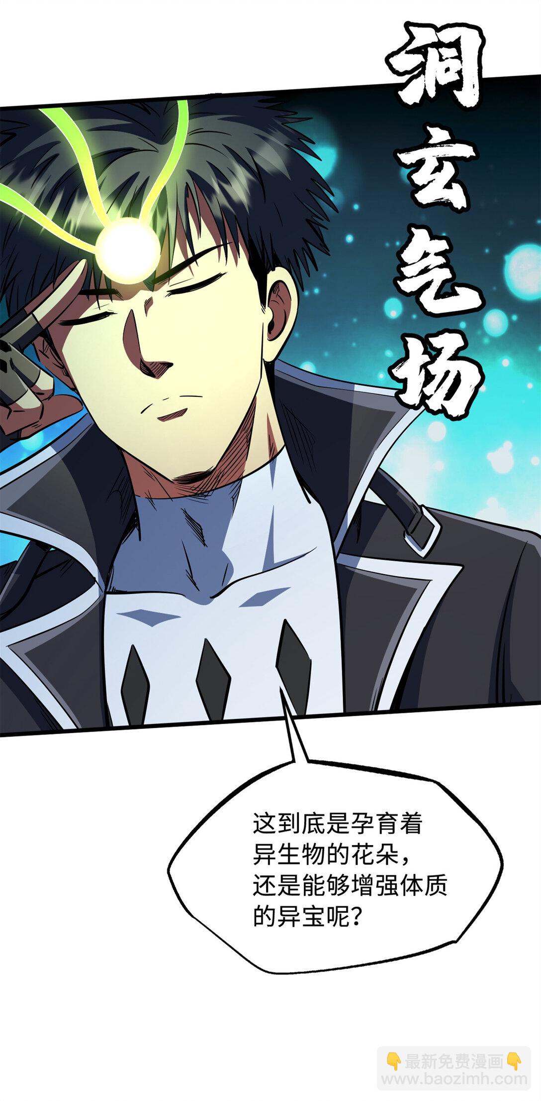 293 奇花33
