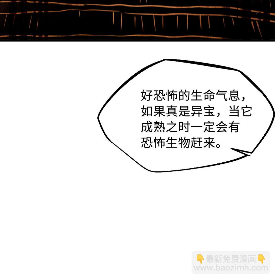 293 奇花35