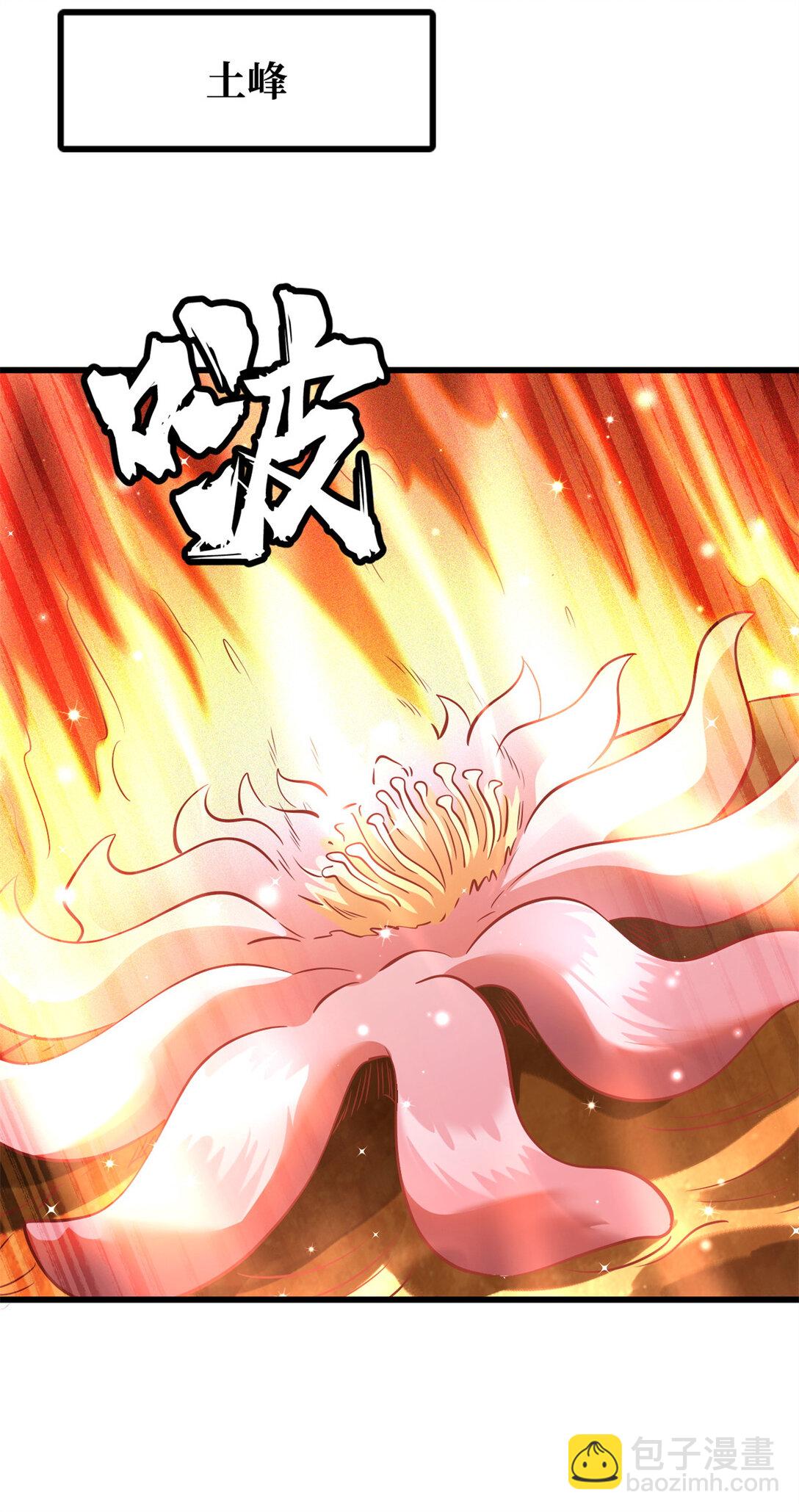 293 奇花36