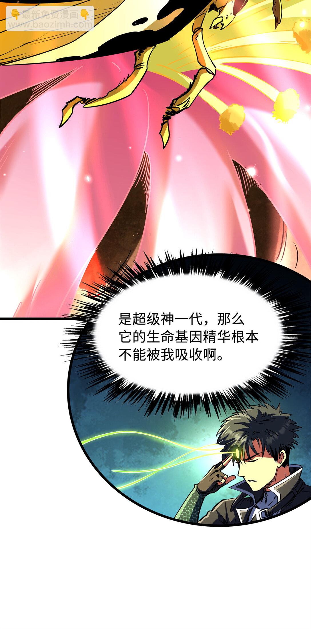 293 奇花43