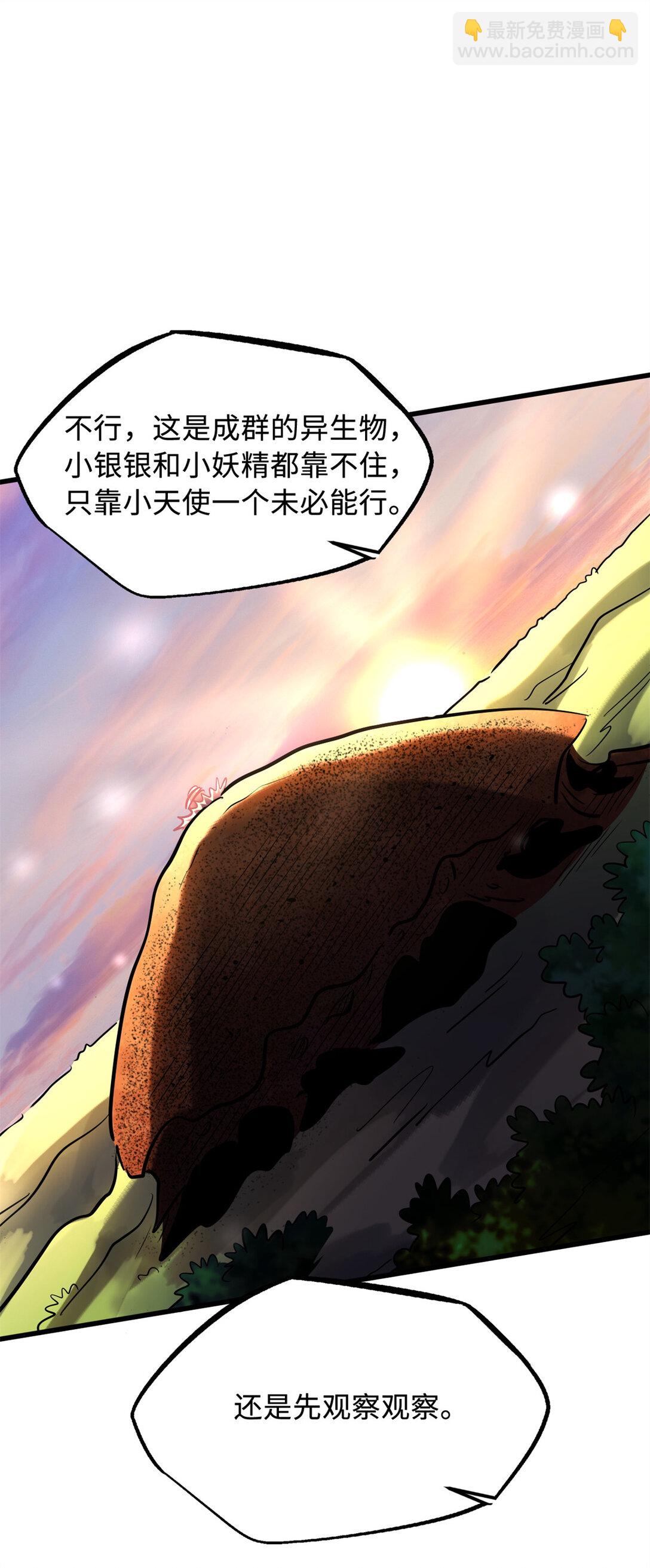 293 奇花55