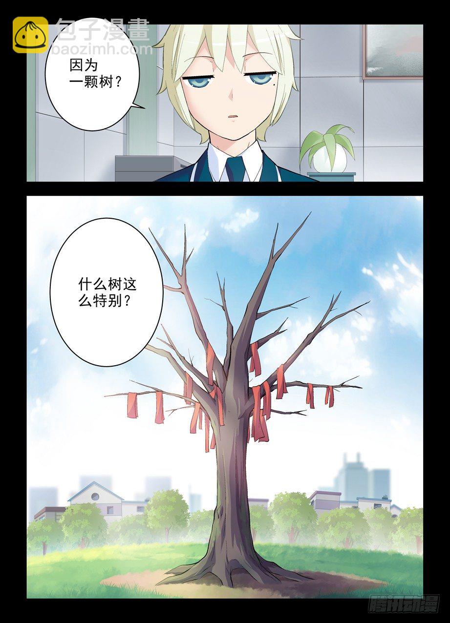263，那绝逼不是相思树10