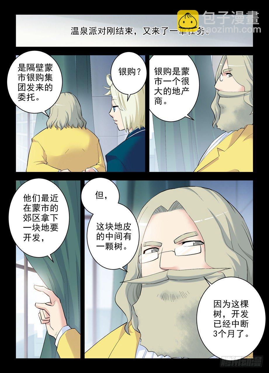 263，那绝逼不是相思树9