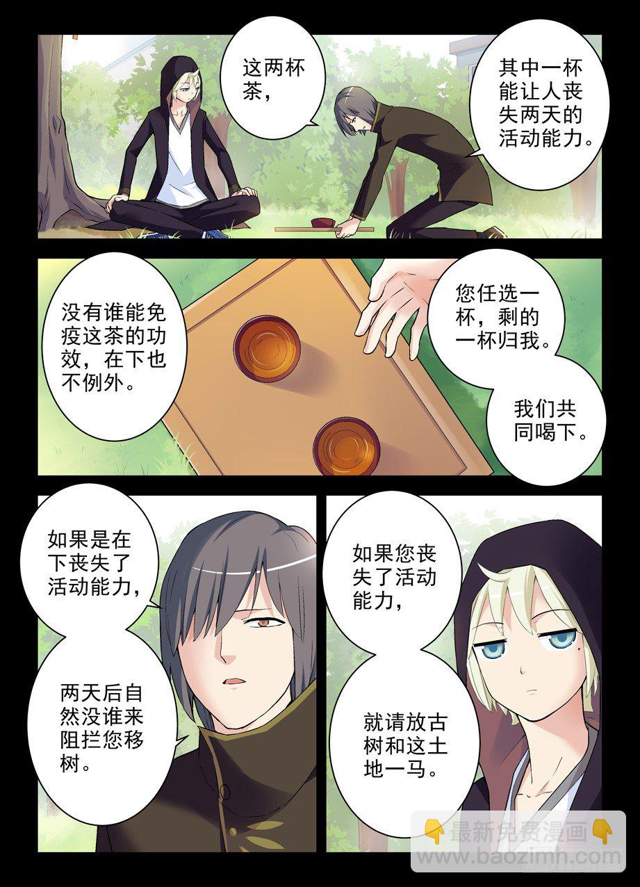 265,茶5
