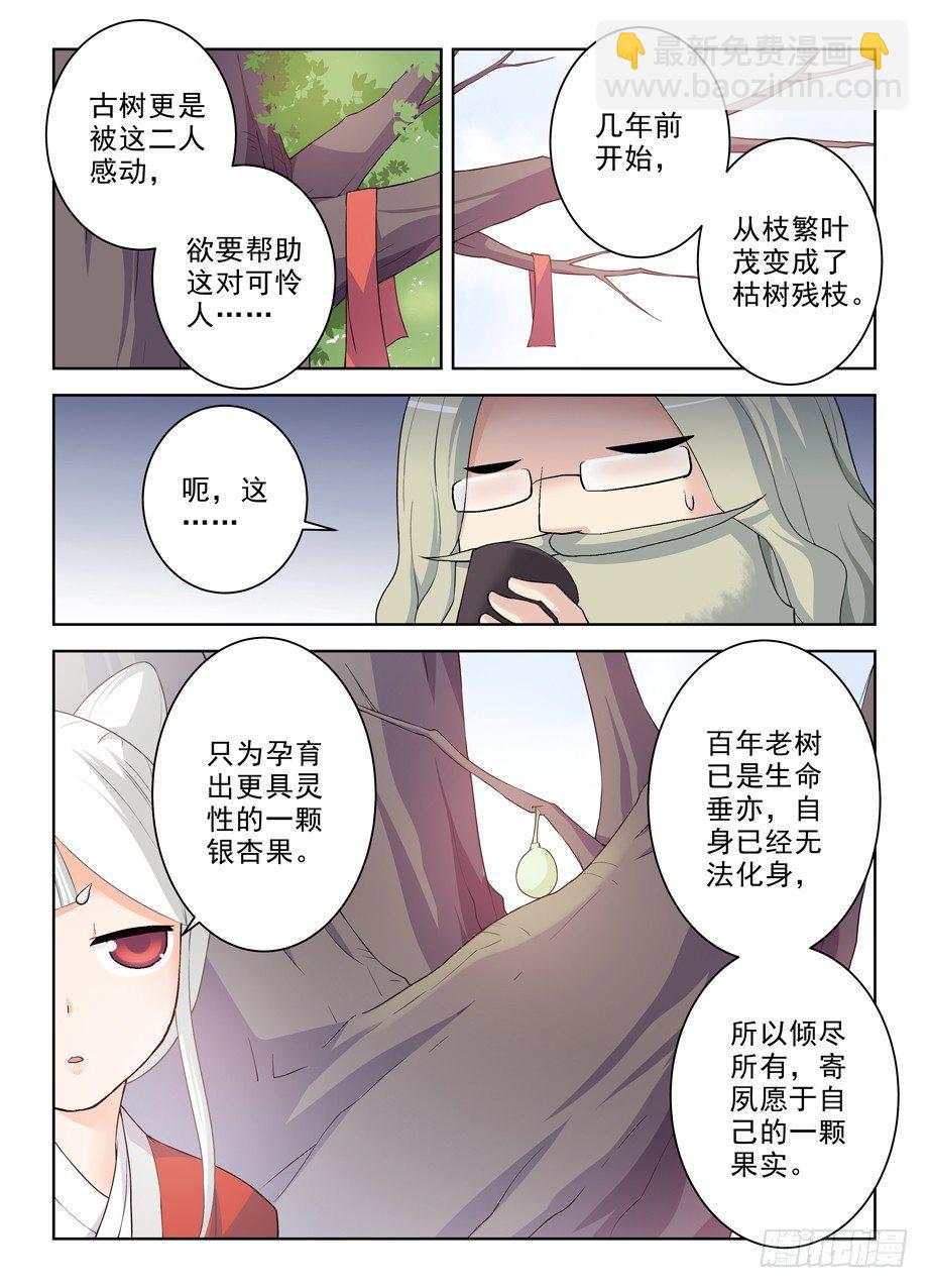 285，银杏果10