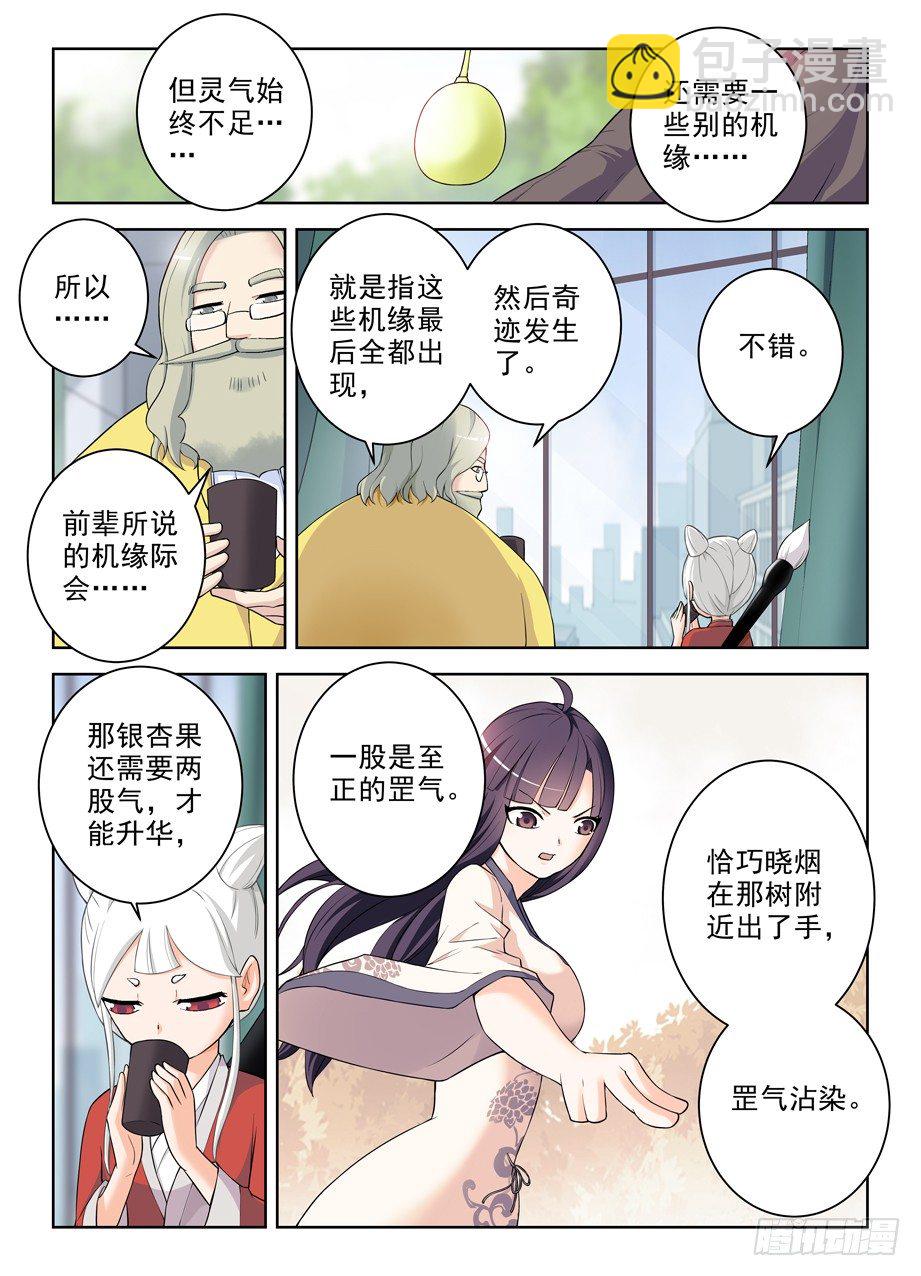 285，银杏果11