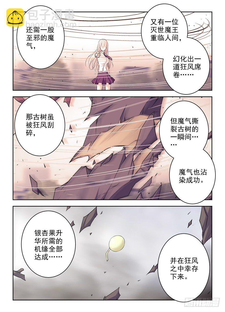 285，银杏果12
