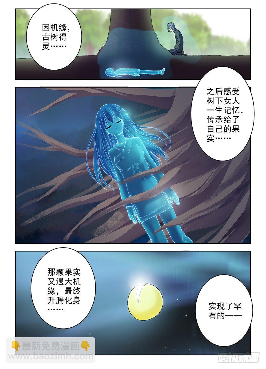 285，银杏果13