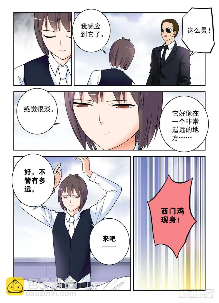 416,因为它是西门鸡11