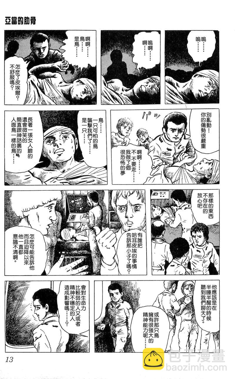 亚当的肋骨10