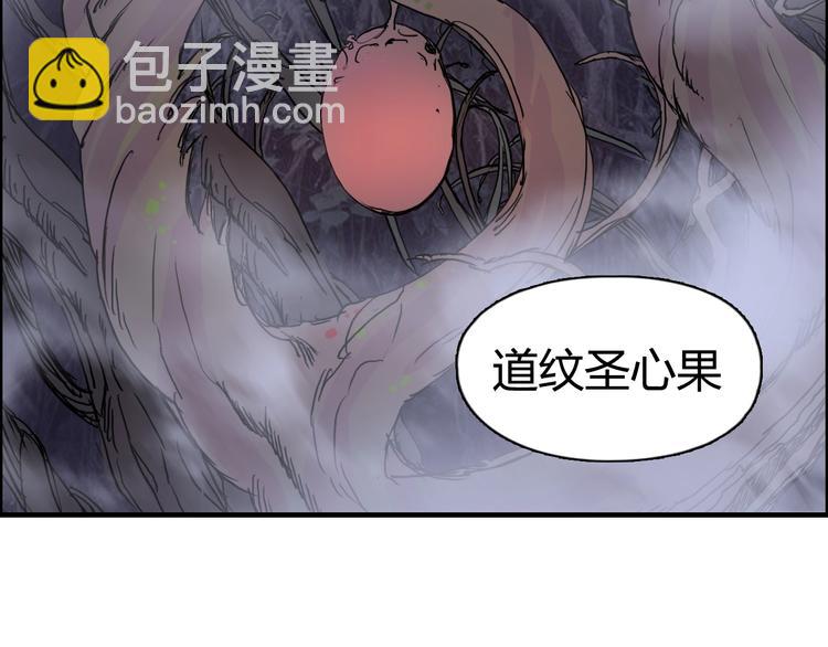 第152话 朱雀火种的秘密17