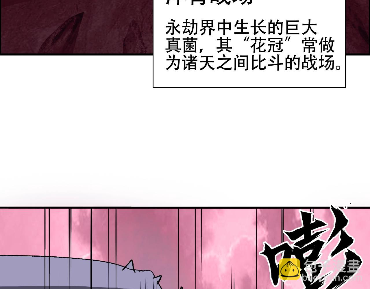 第316话 迎战善生天120