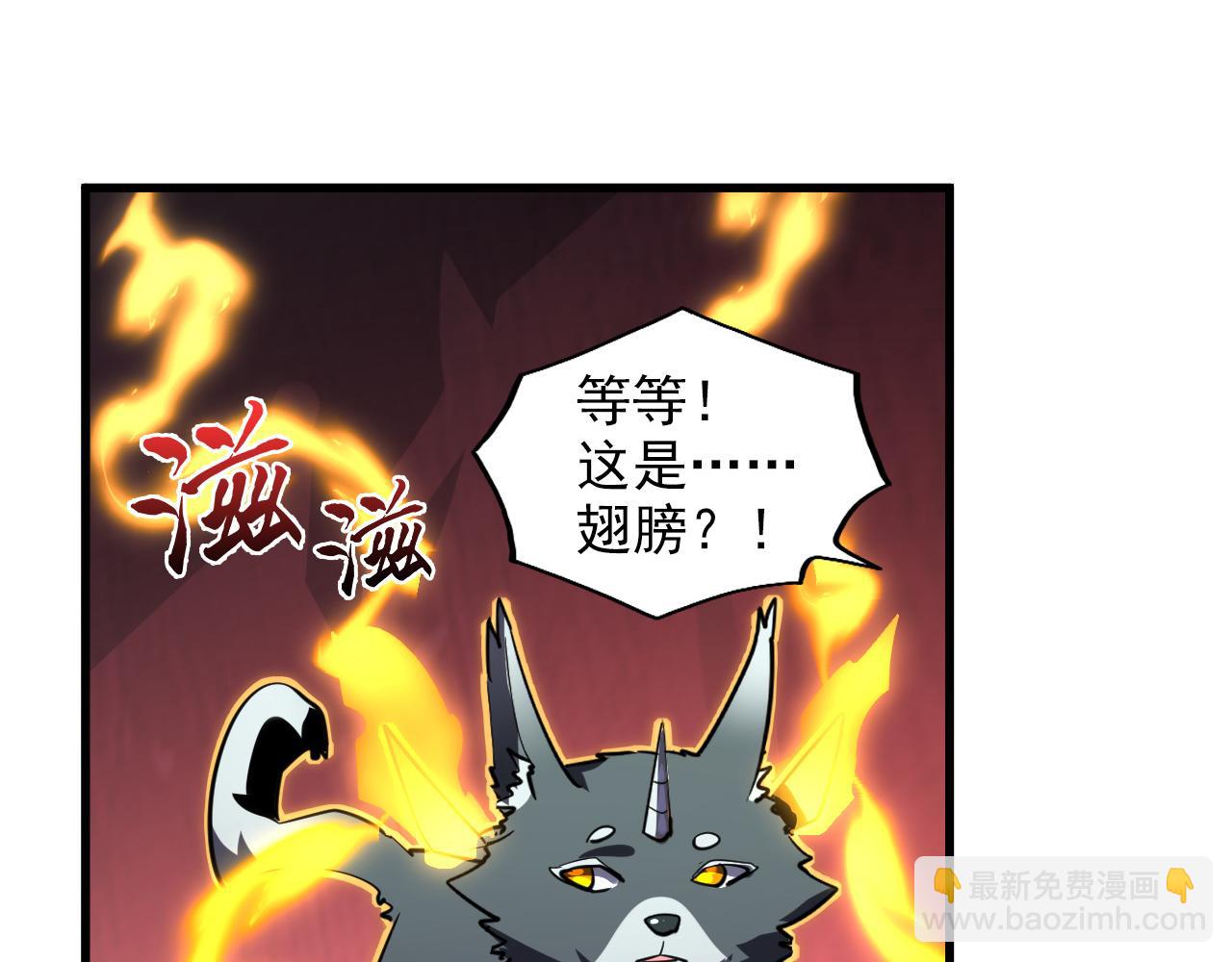249 崽崽的蜕变39