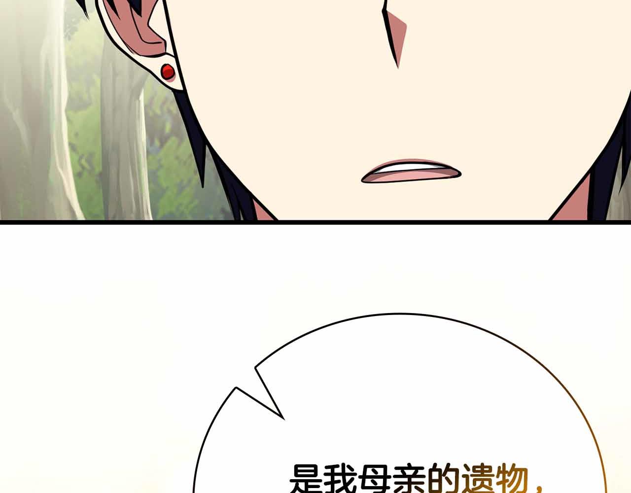 第40话 不被承认的王14