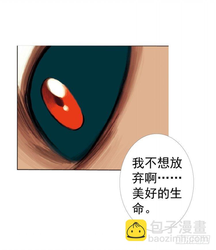 第312话：终结者（上）23
