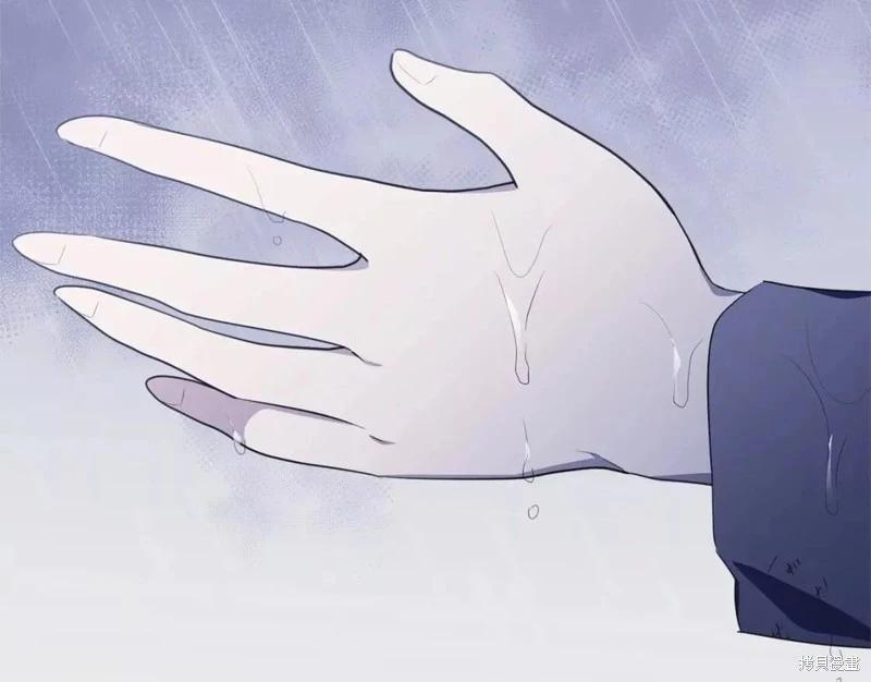 第113话213