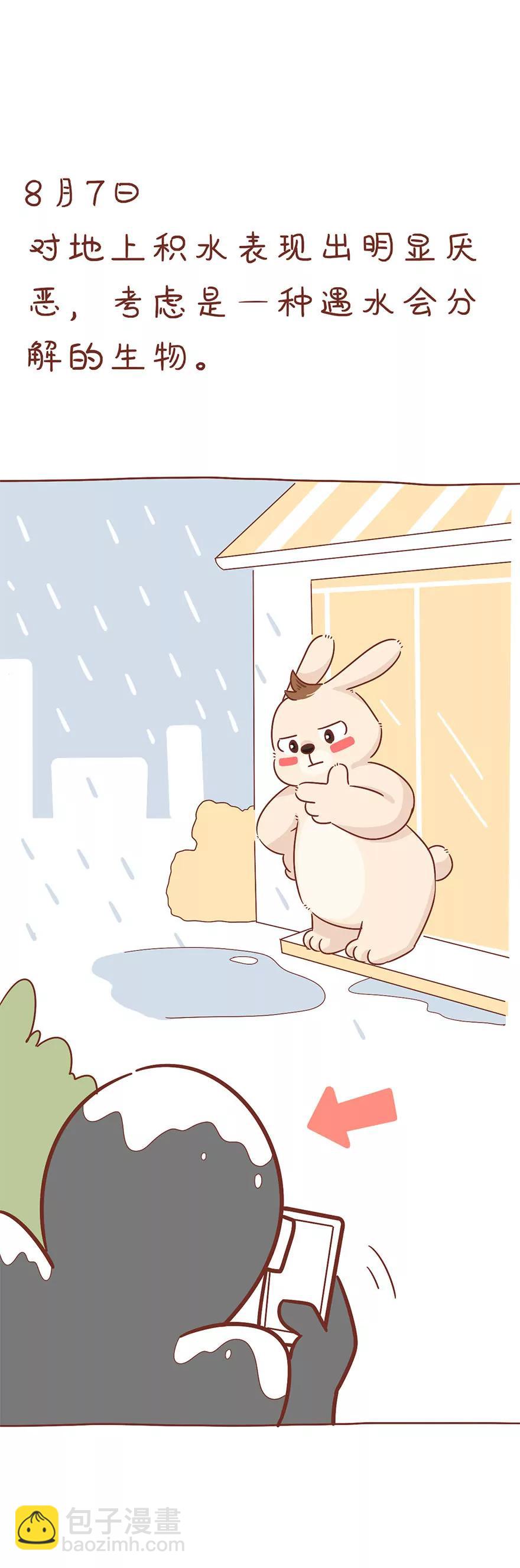 观察日记10