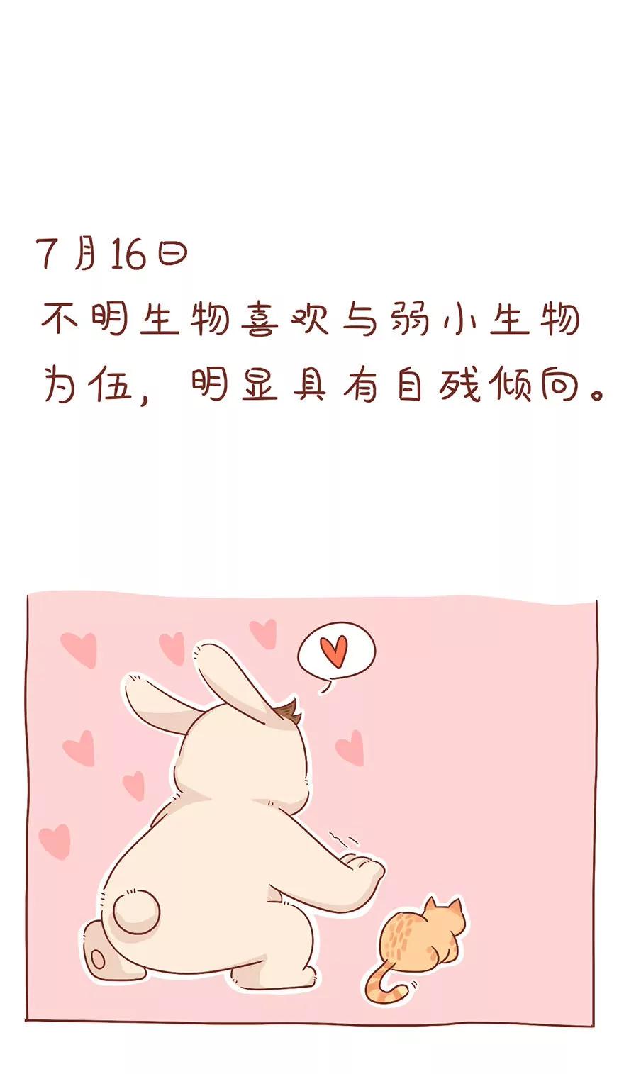 观察日记8