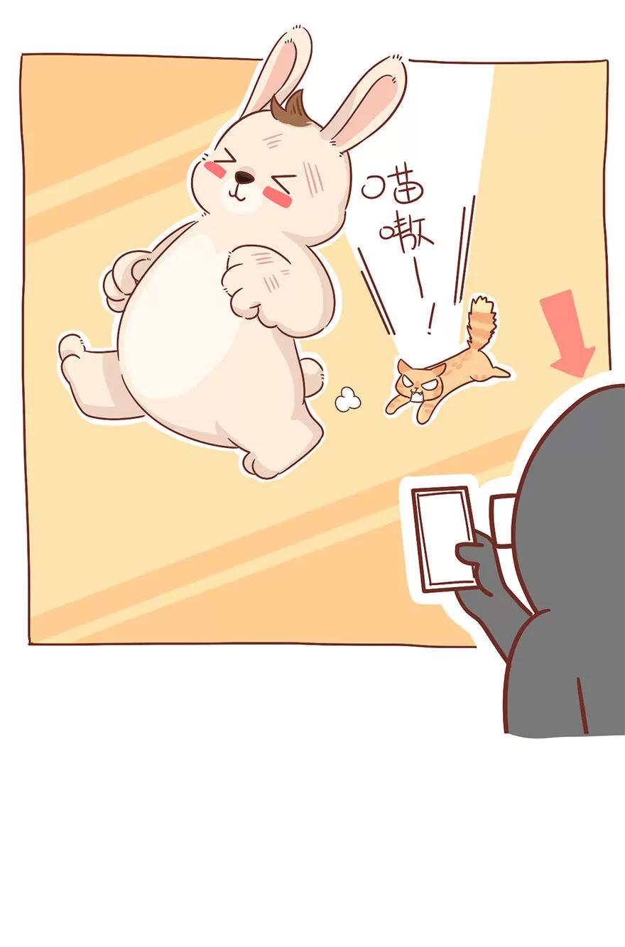 观察日记9