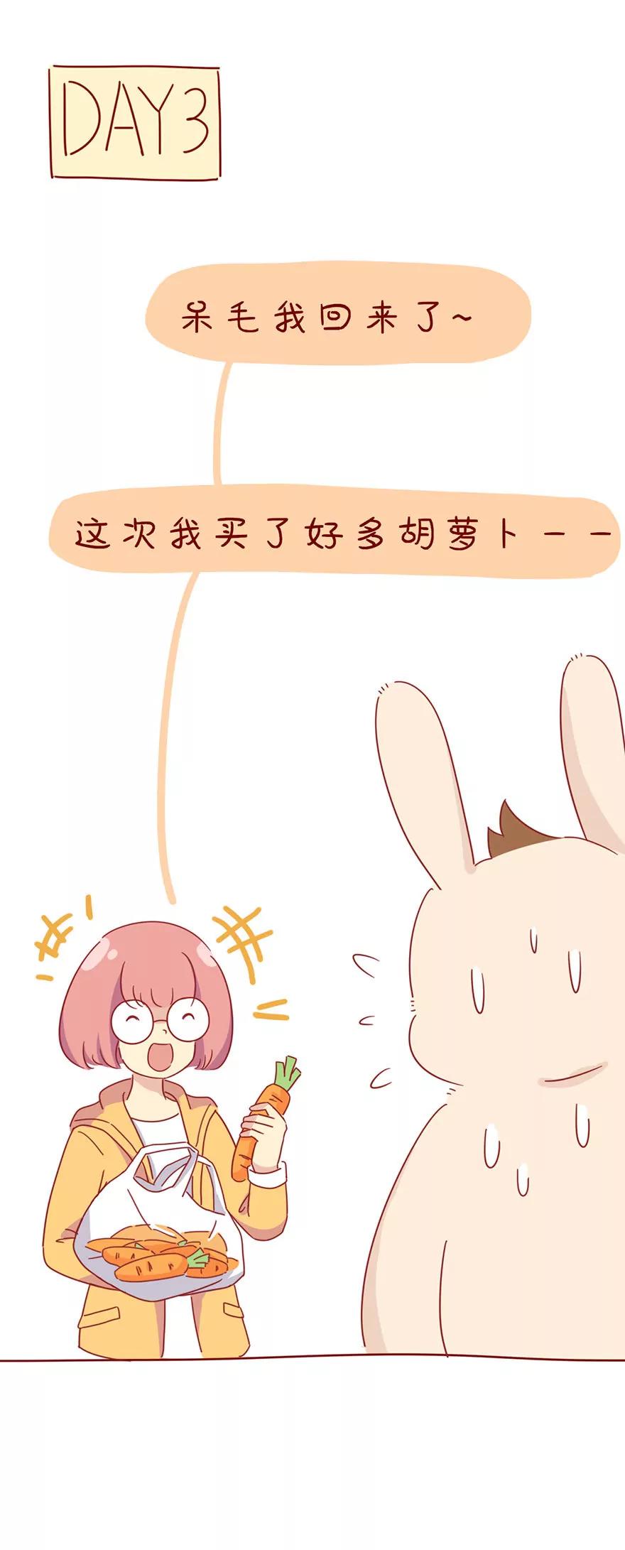 胡萝卜10