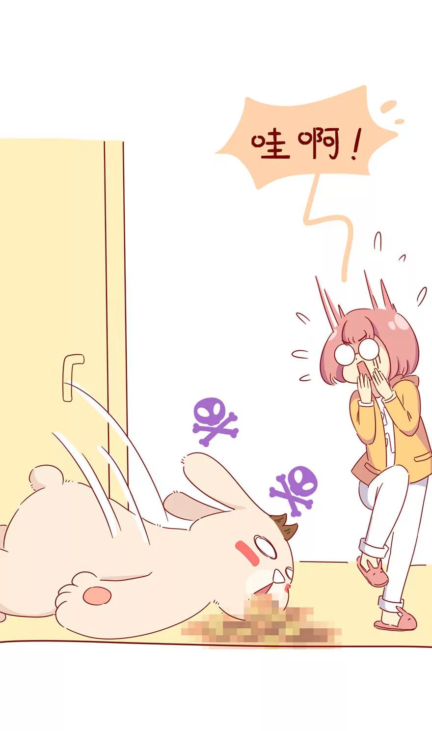 胡萝卜14