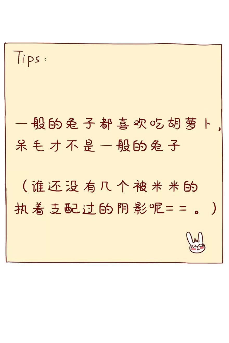 胡萝卜15