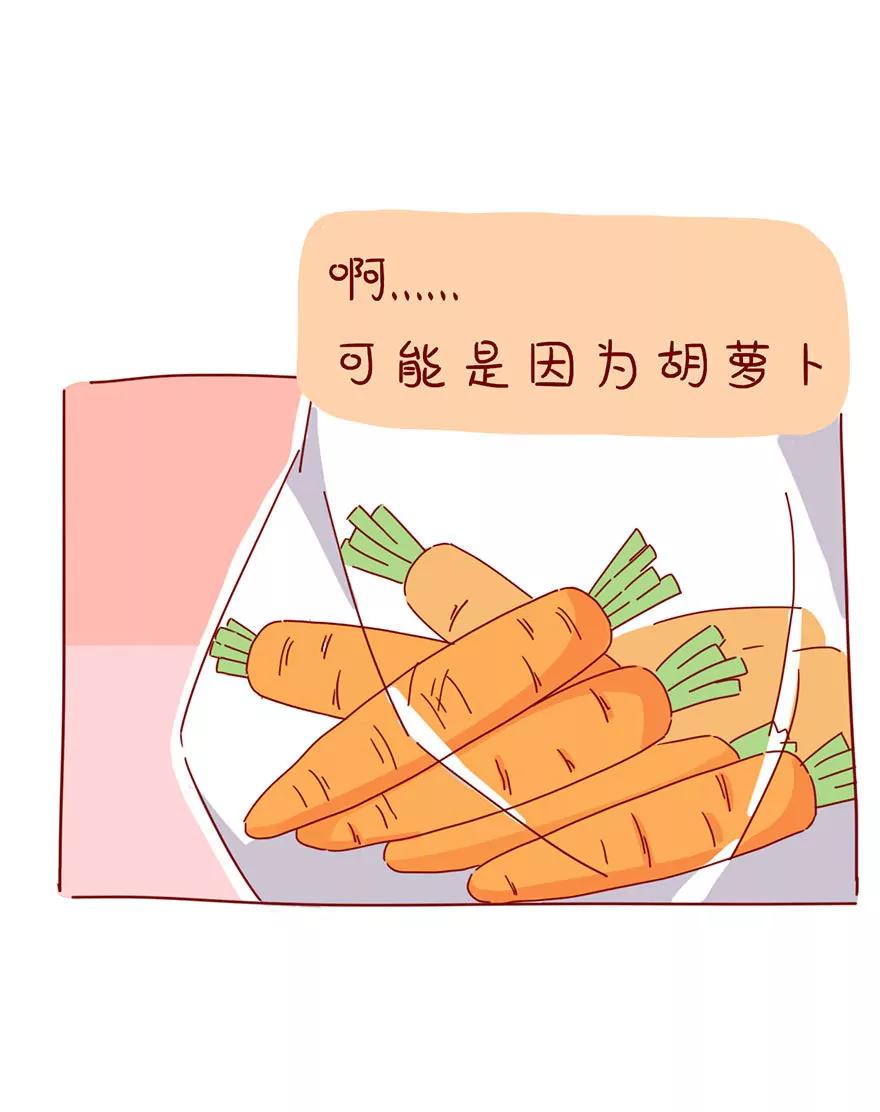 胡萝卜3
