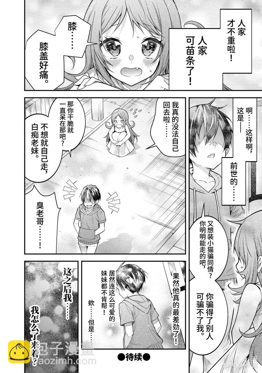 41 精灵之乡27