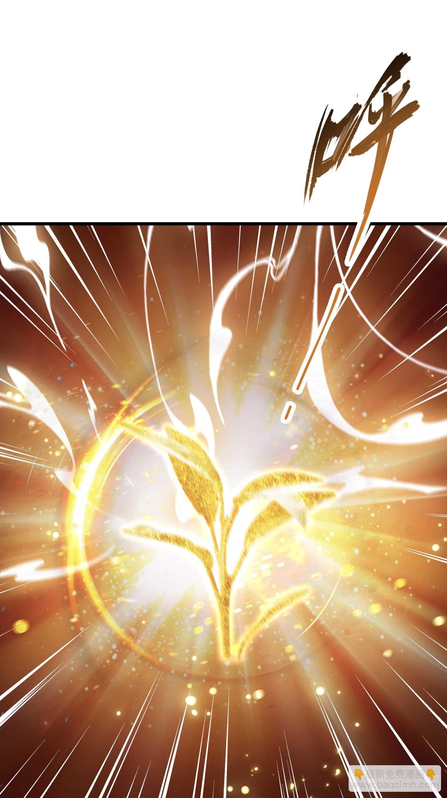 第175话 叶先生，无需多言！33