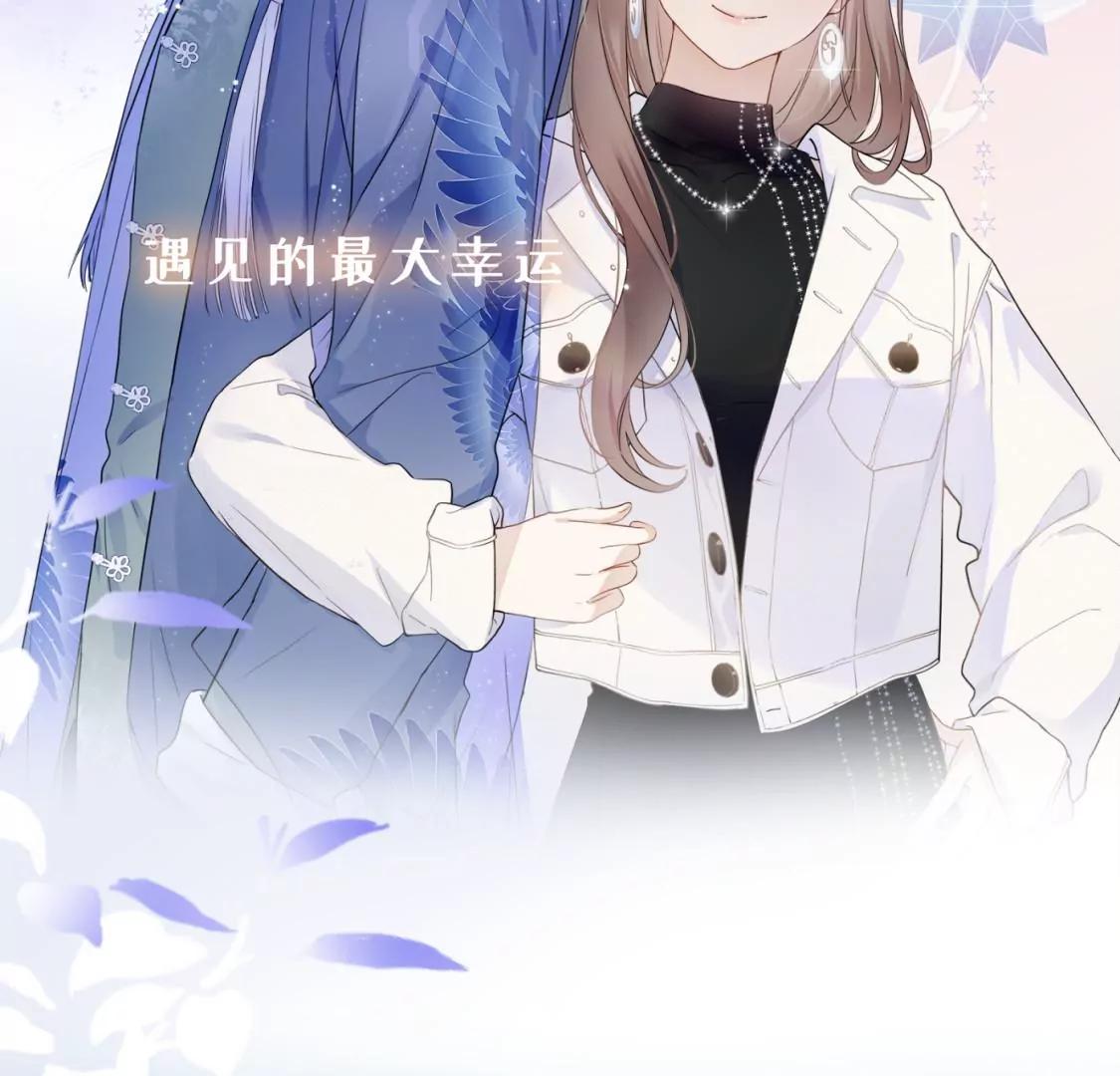 新作预告6