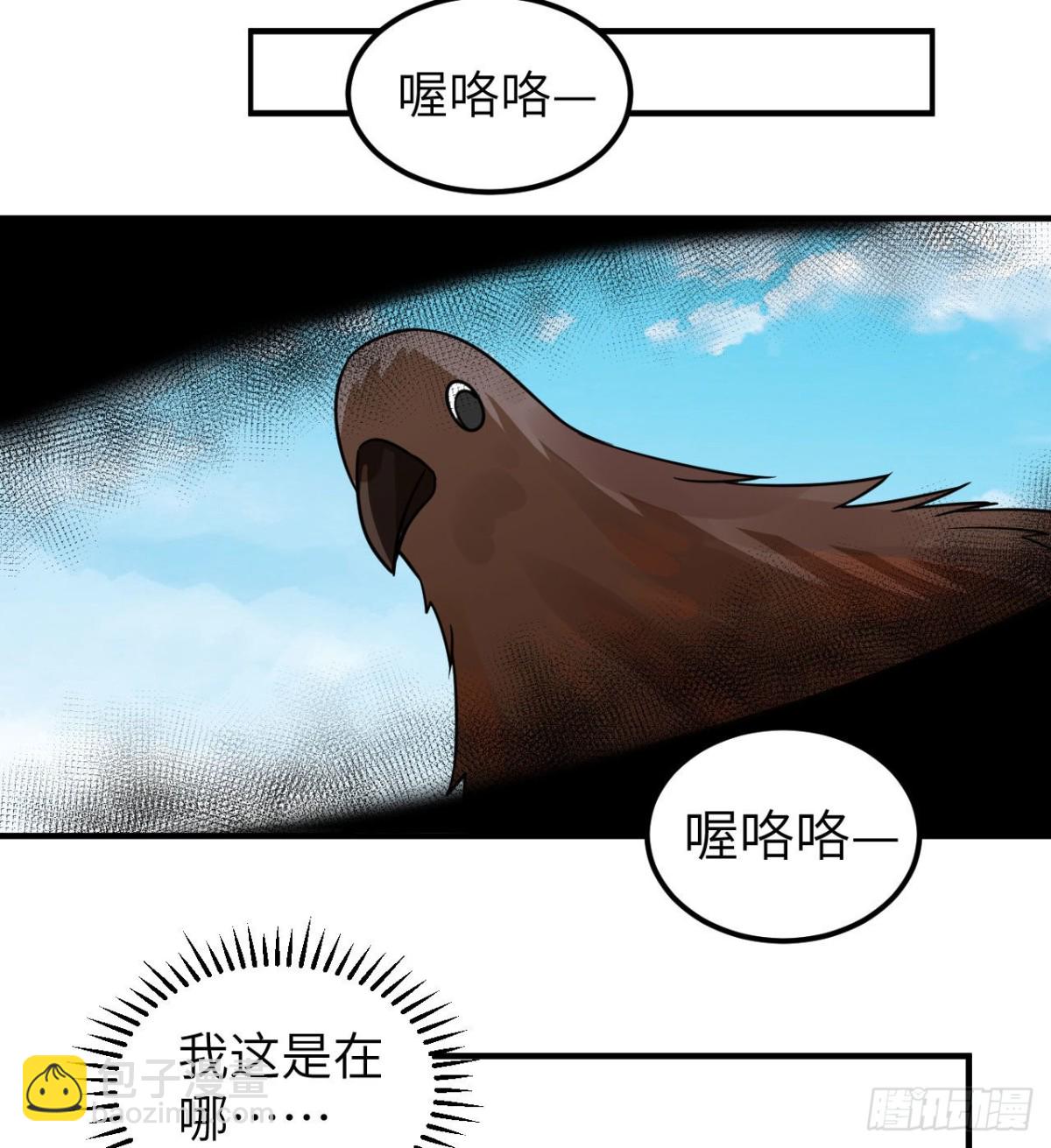 213 潇洒走一回66
