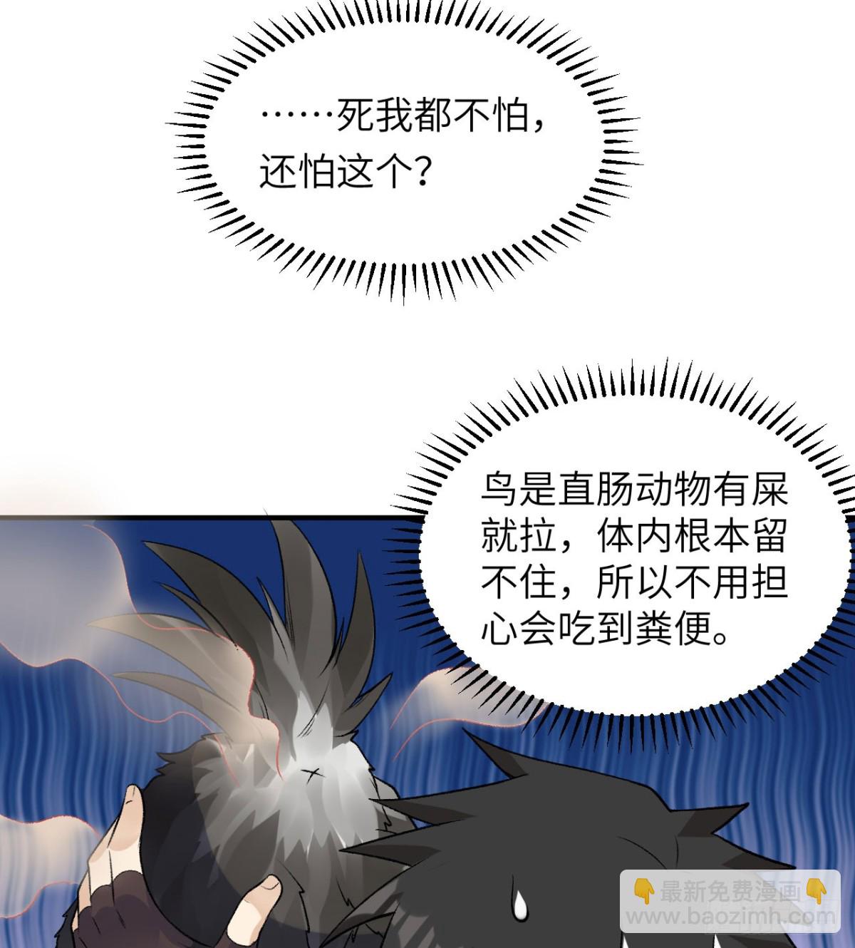 246 企鹅9