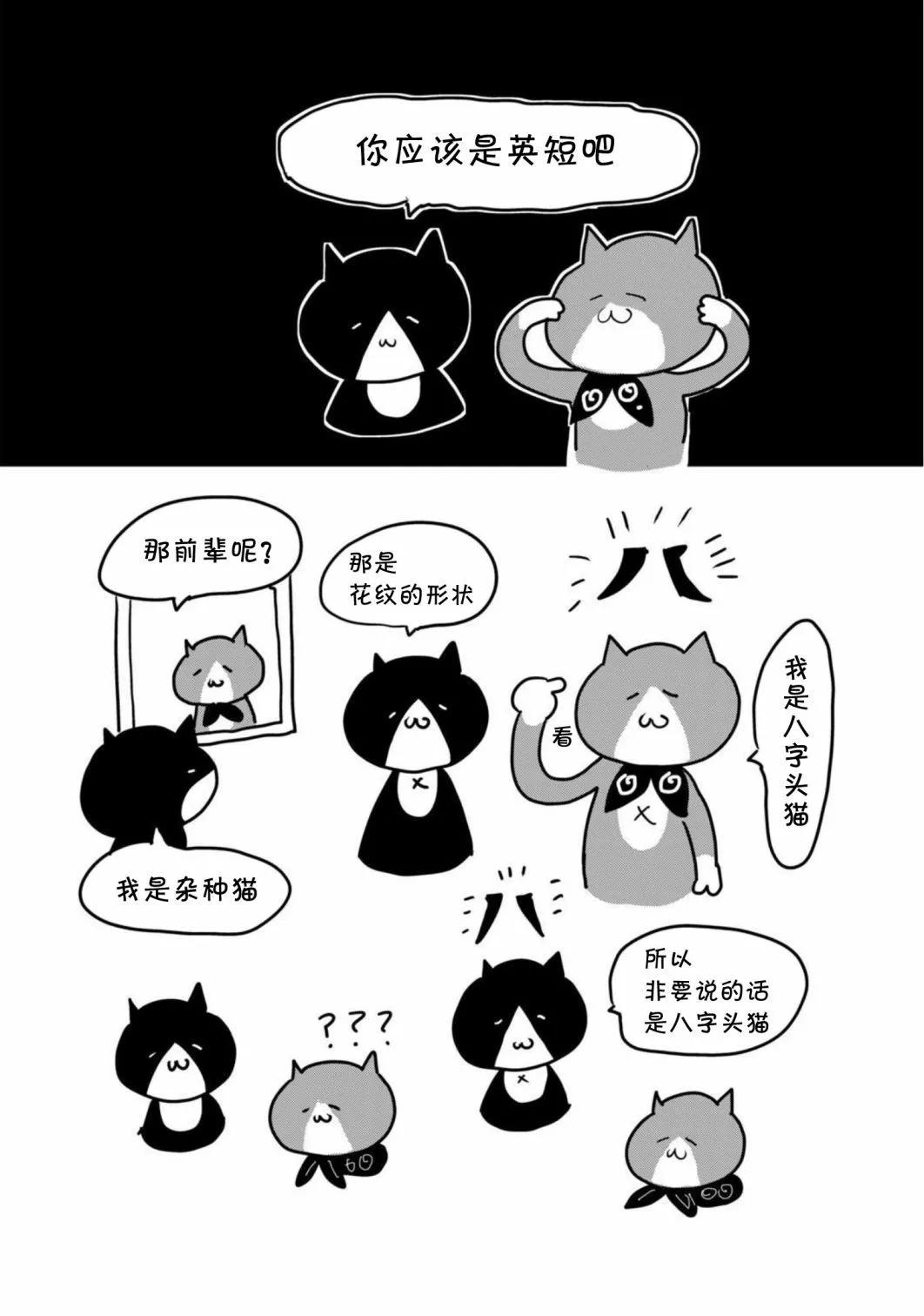 第4卷后记2