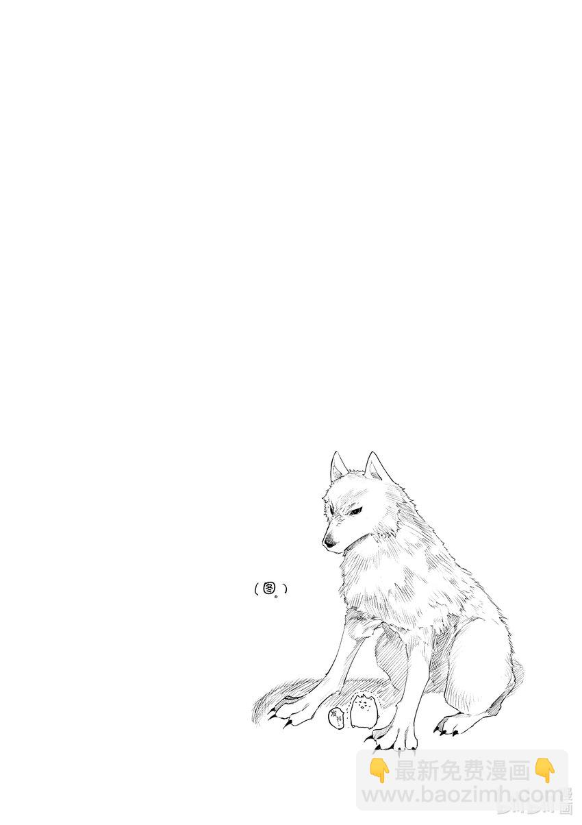11 你是猫咪吗19