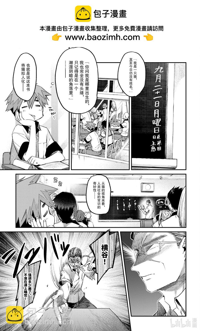 11 你是猫咪吗2