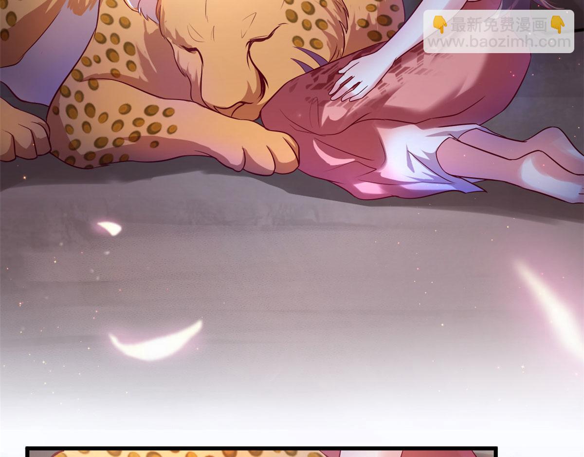 29126