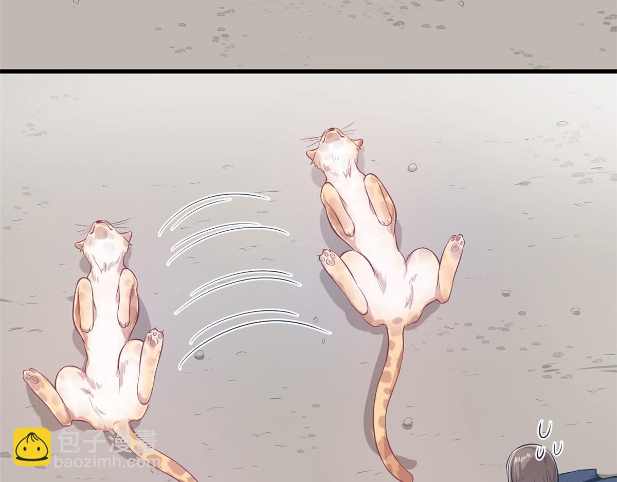 4658