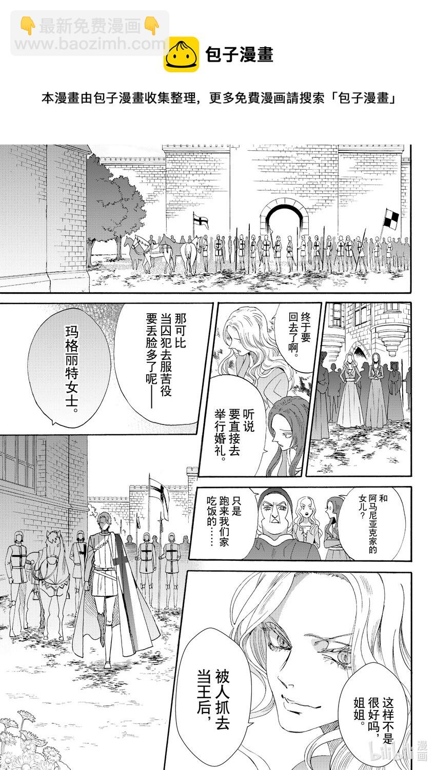 外传03 王后与玫瑰骑士24