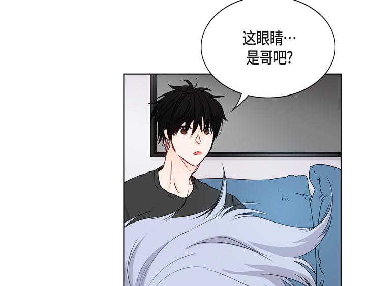 第一季完结篇114