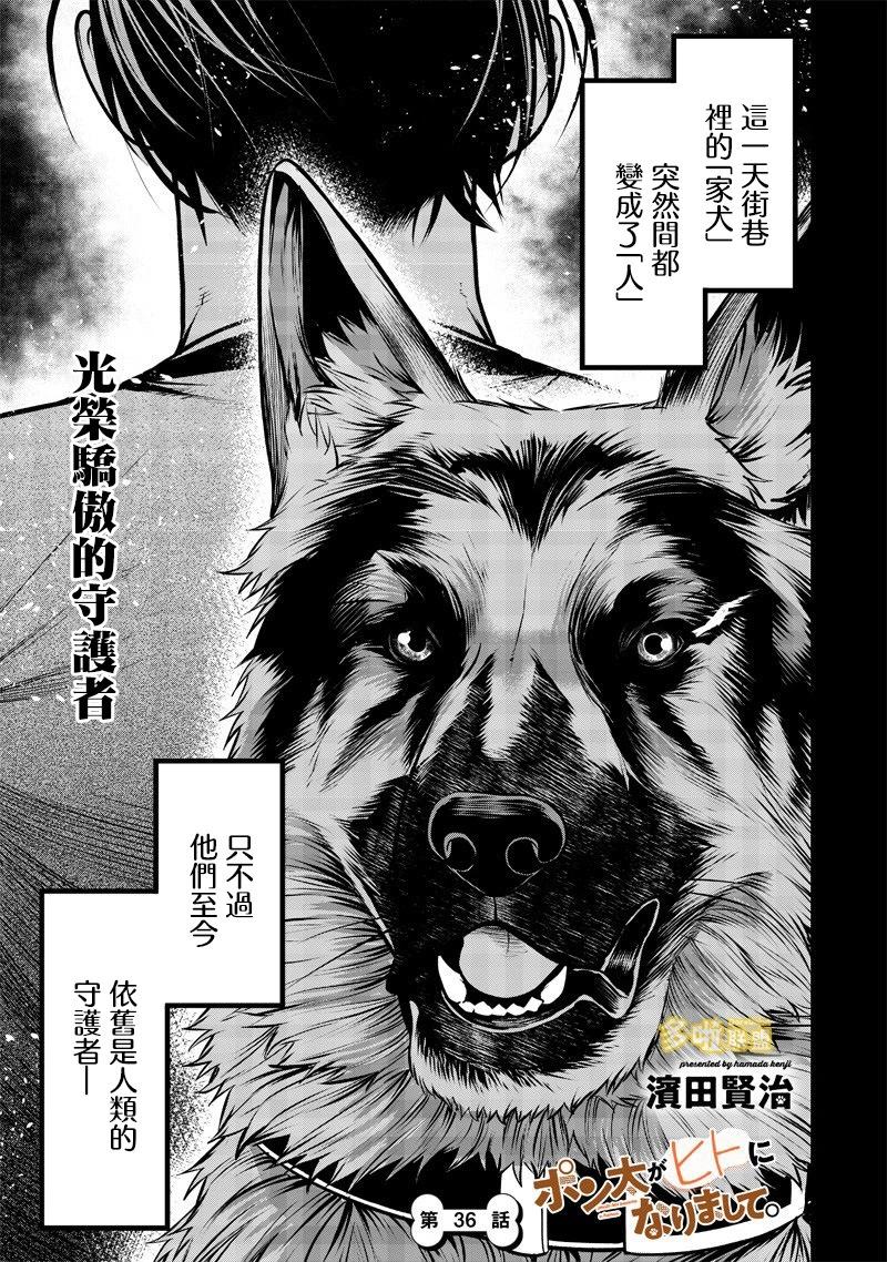 德牧篇0