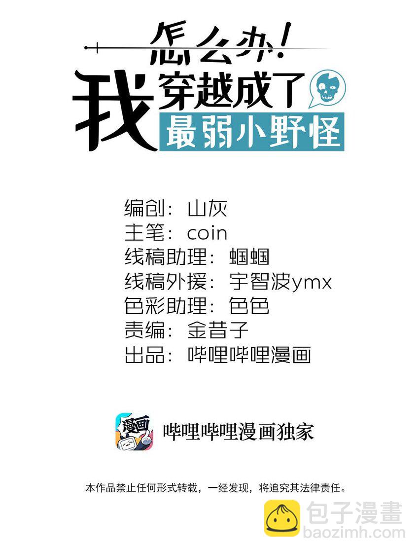 054 早已开始实施的计划1