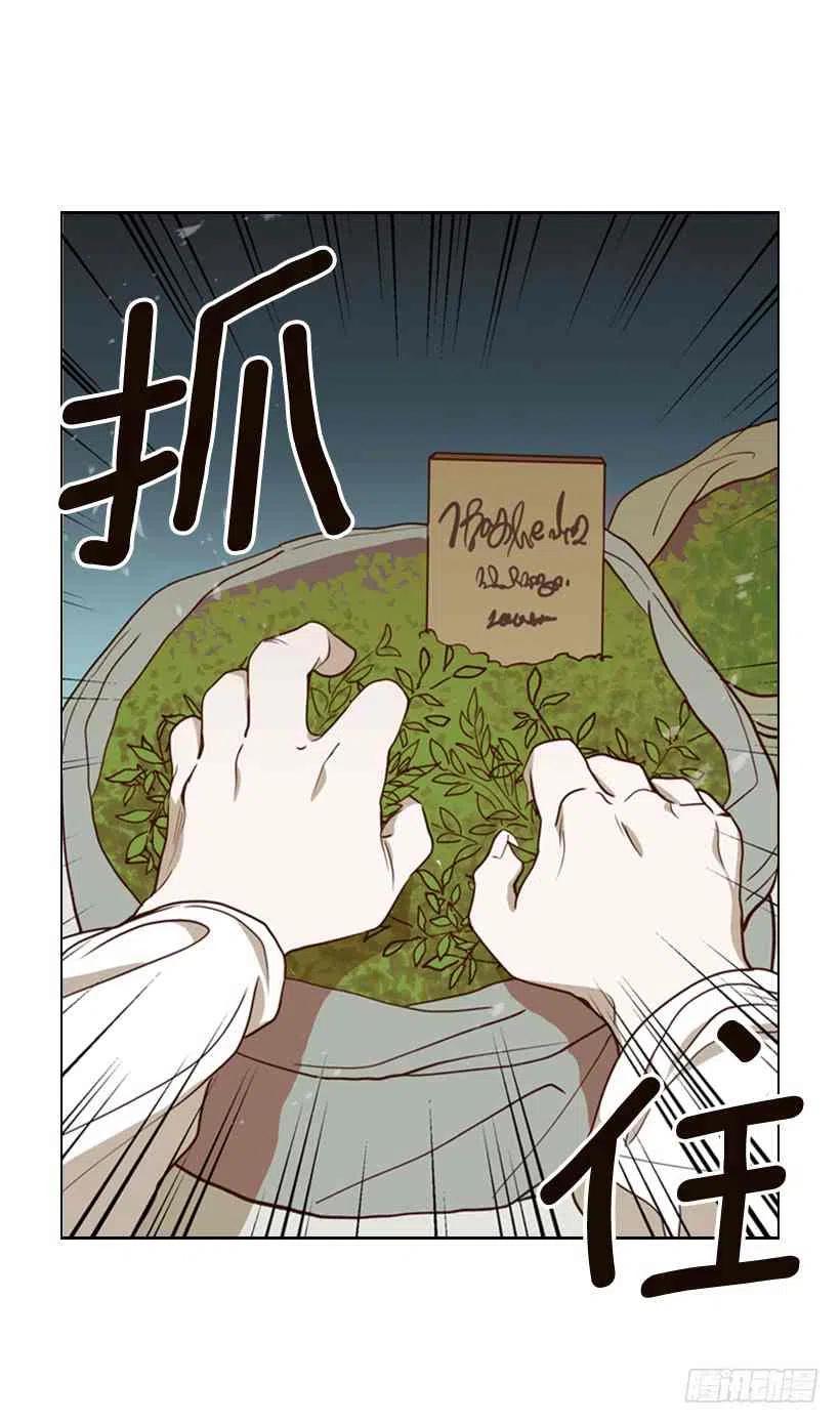 1.第一季开篇77