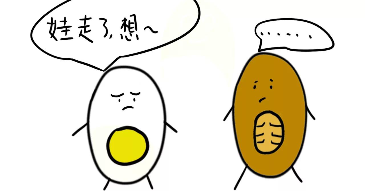 旅途31