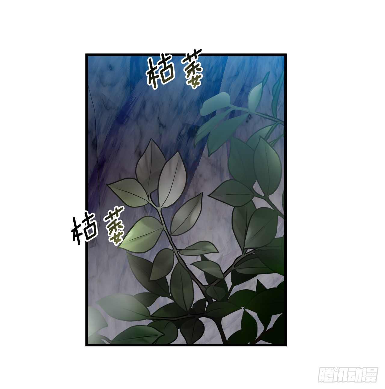 39.天秤树的由来16